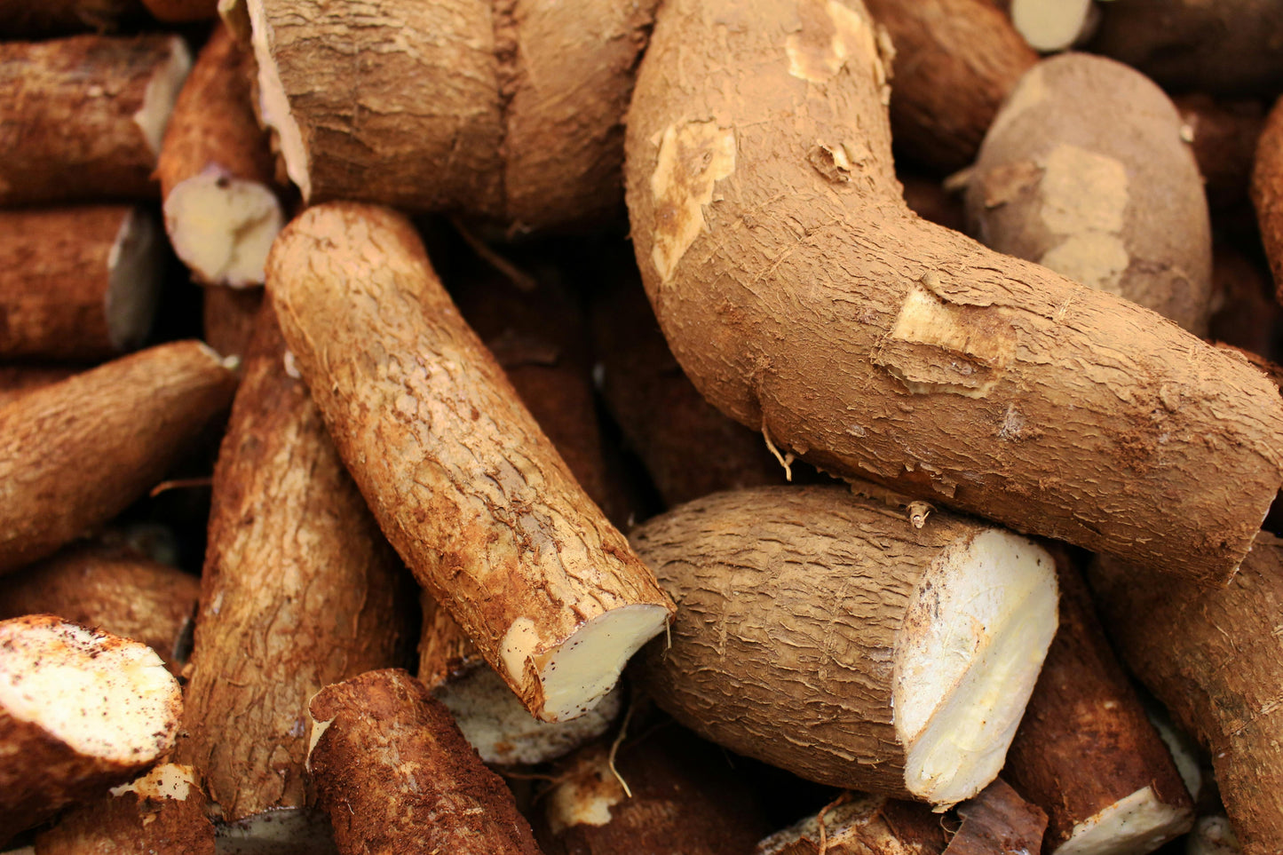 FSS Yucca Extract PF