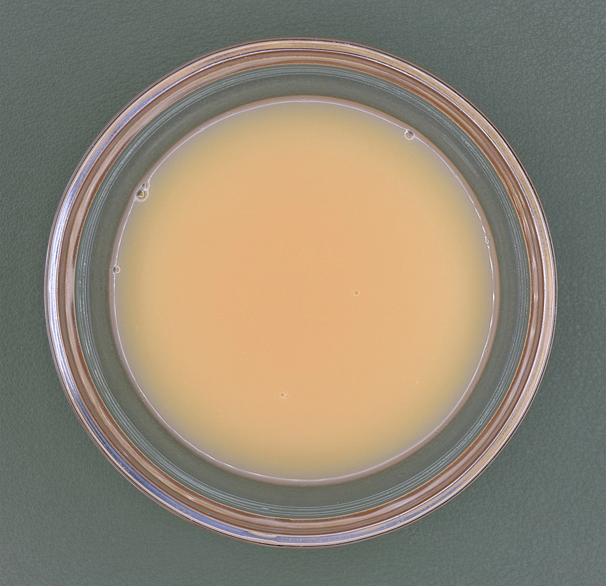 FSS Vitamin ACE Liposome PF