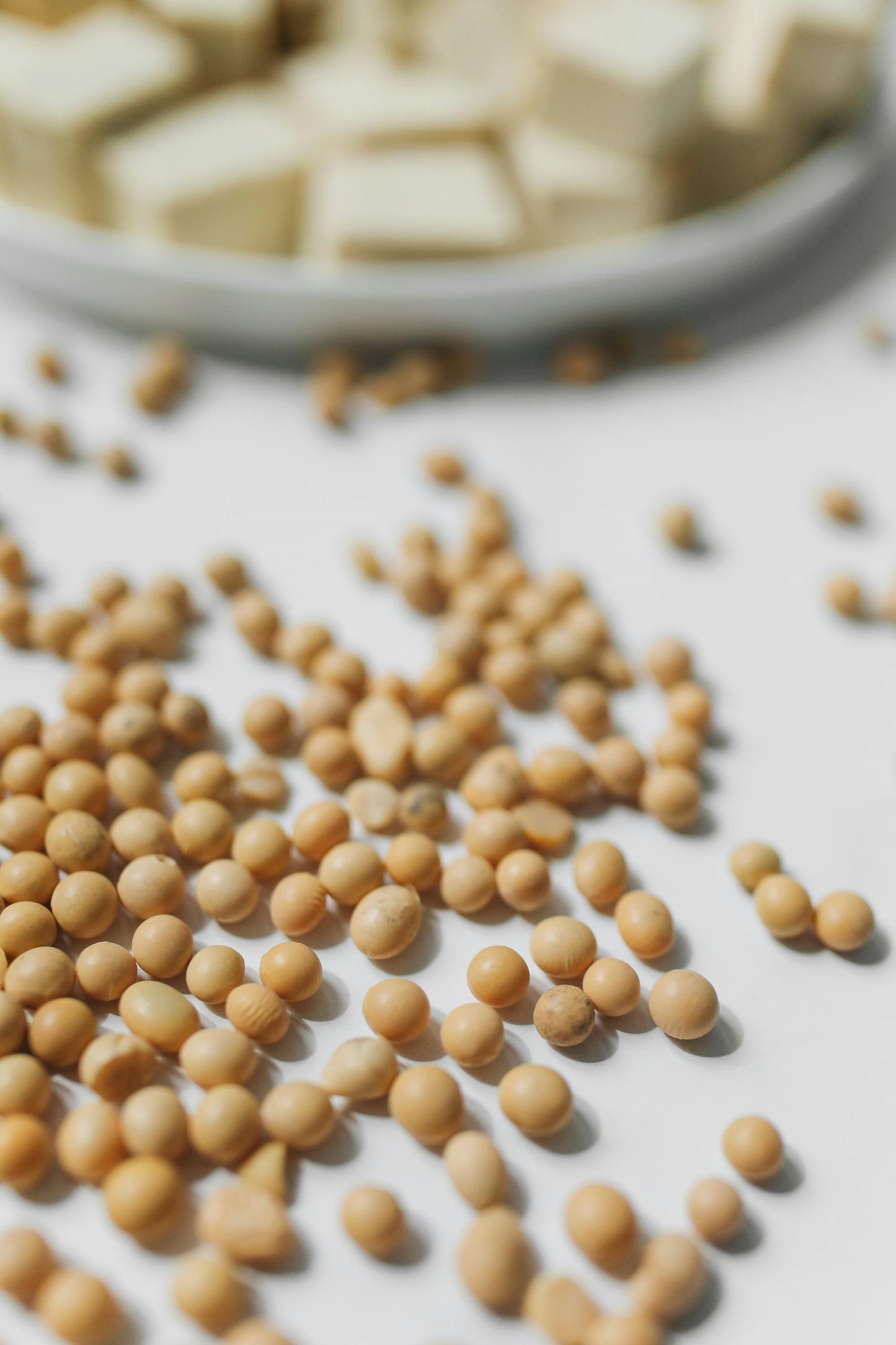 FSS BIOPOLYMER SOY PF