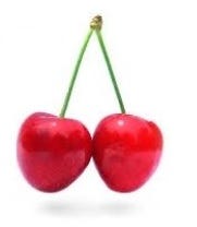 FSS Acerola BioFerment