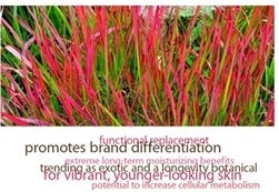FSS Imperata Cylindrica G PF – Formulator Sample Shop