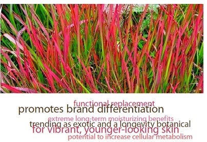 FSS Imperata Cylindrica PF – Formulator Sample Shop