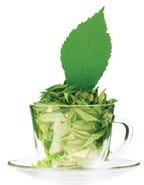 FSS Japanese Green Tea Extract G PF