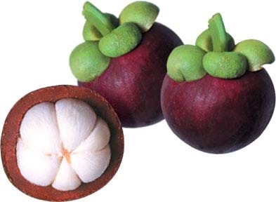 FSS Mangosteen Oil