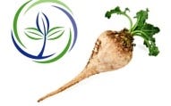 FSS Natural Betaine