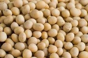 FSS Soy Amino Acids PF
