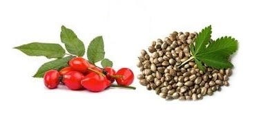 rose seed hip Rose Hip Extract HSO – Formulator Sample Shop