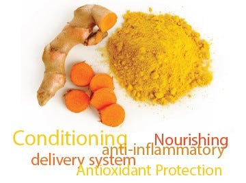 FSS Turmeric Liposome PF