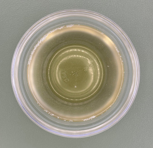 FSS Gotu Kola Extract G