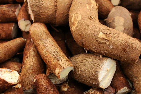 FSS Yucca Extract PF 