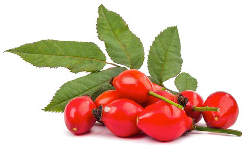 FSS ROSE HIP EXTRACT OS 