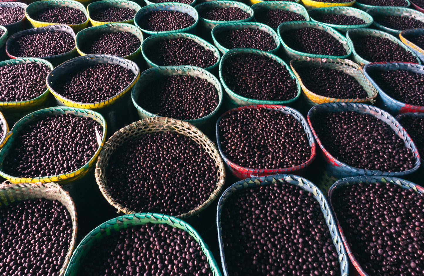 FSS ACAI EXTRACT BG PF 