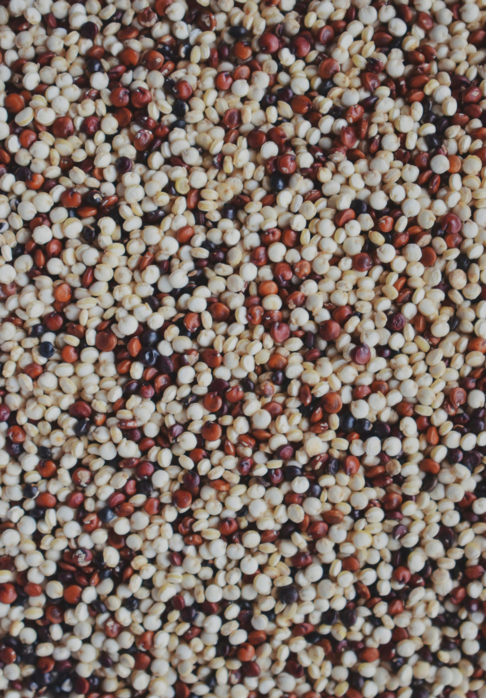 FSS MultiGrain Complex OS 