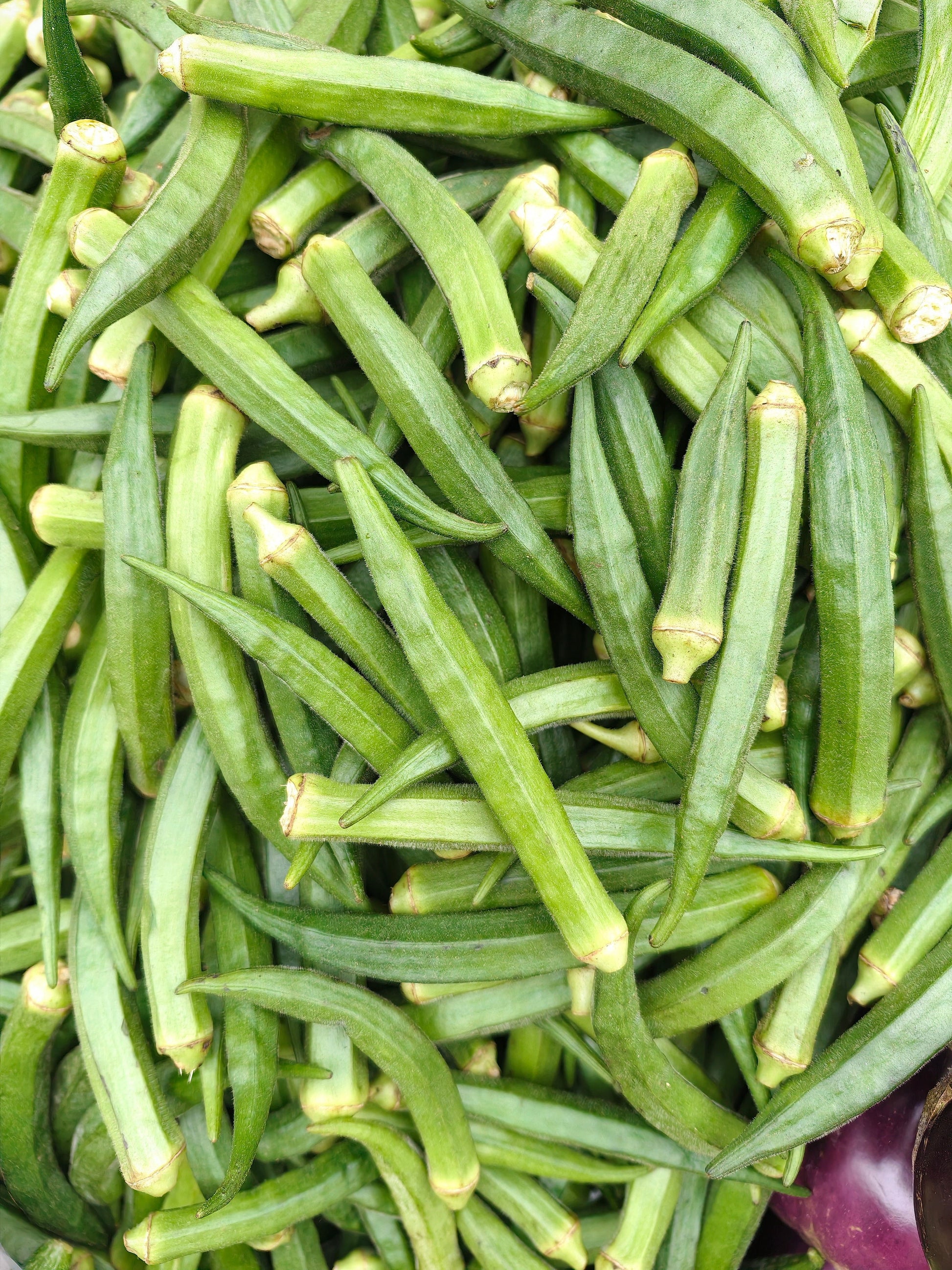FSS OKRA EXTRACT G PF 