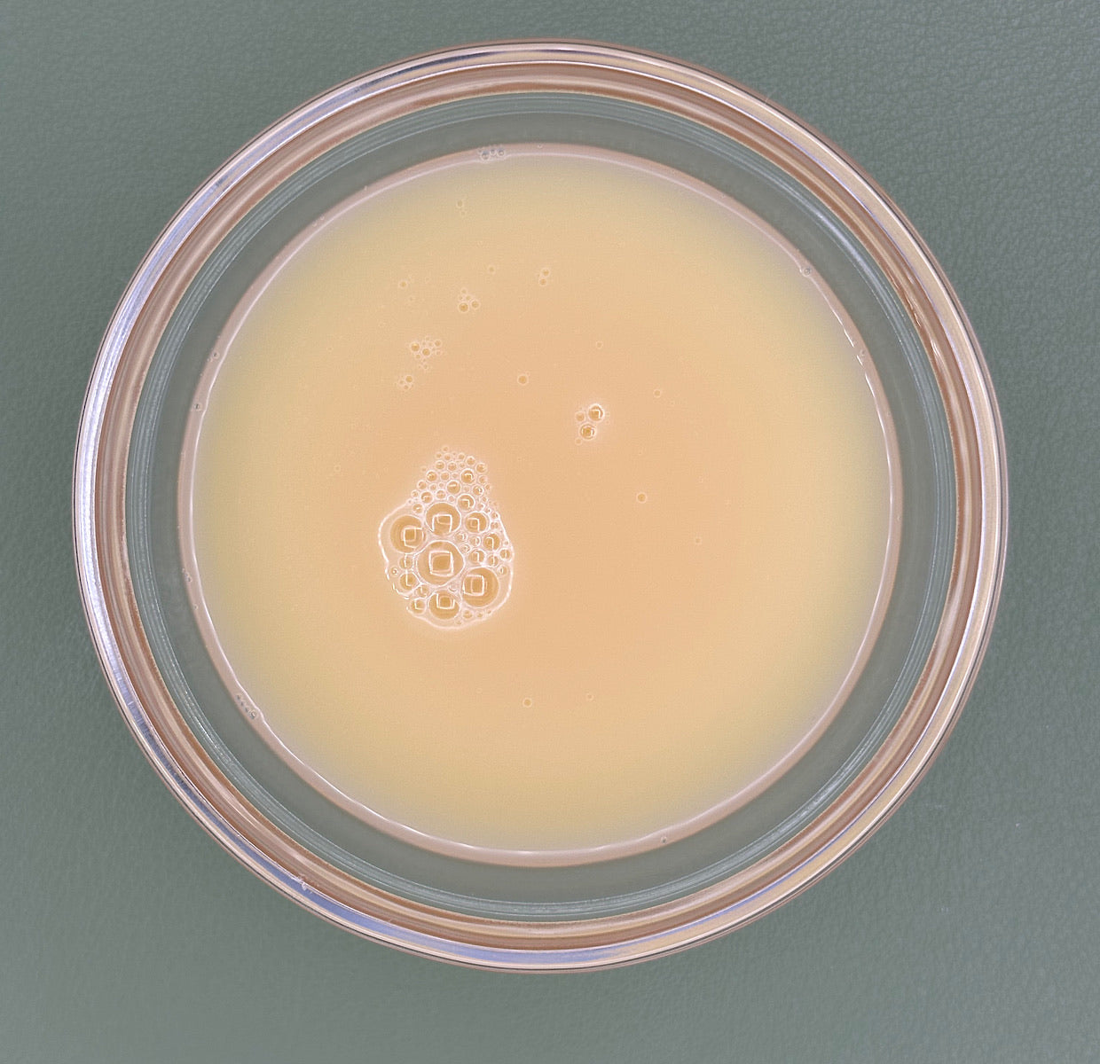 FSS Biotin Liposome