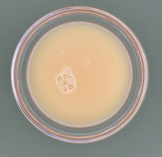 FSS Biotin Liposome
