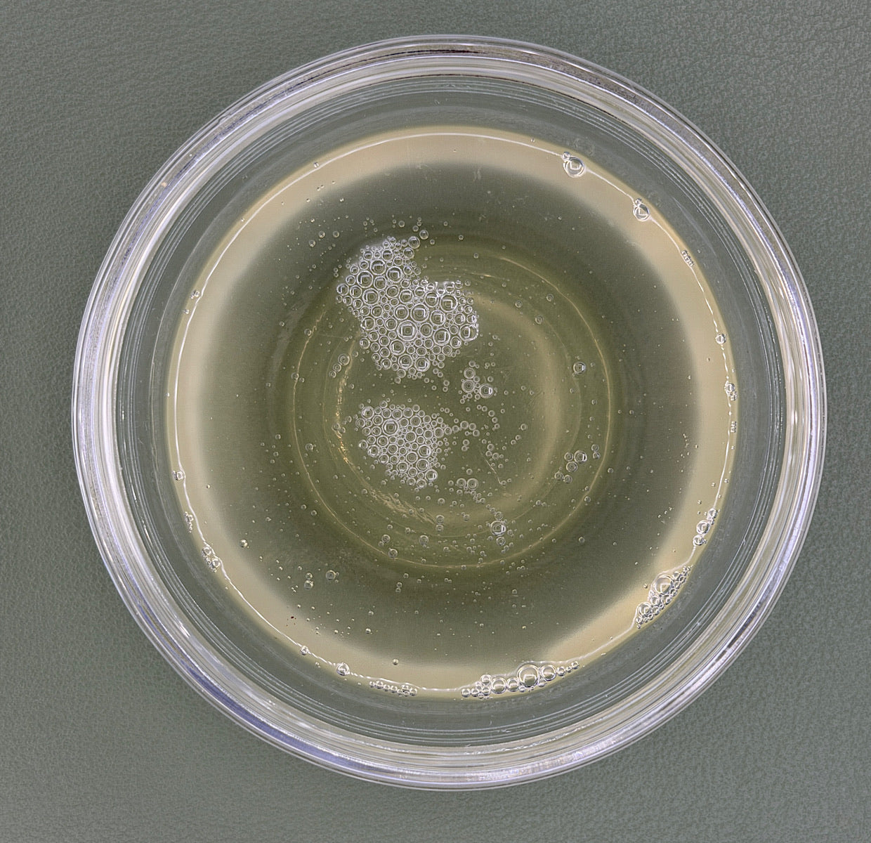 FSS Probacillus Revive