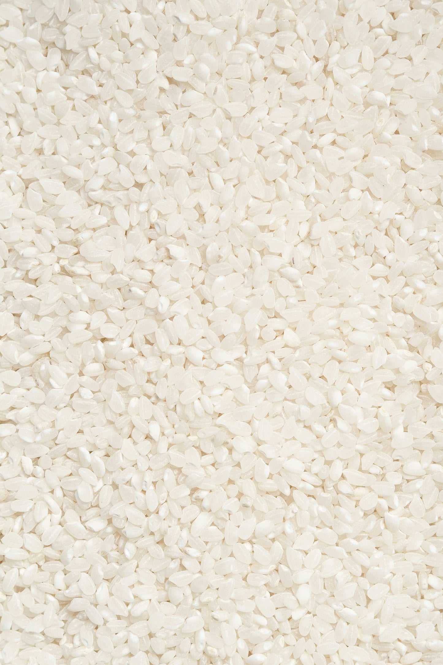 FSS RICE WATER SF 