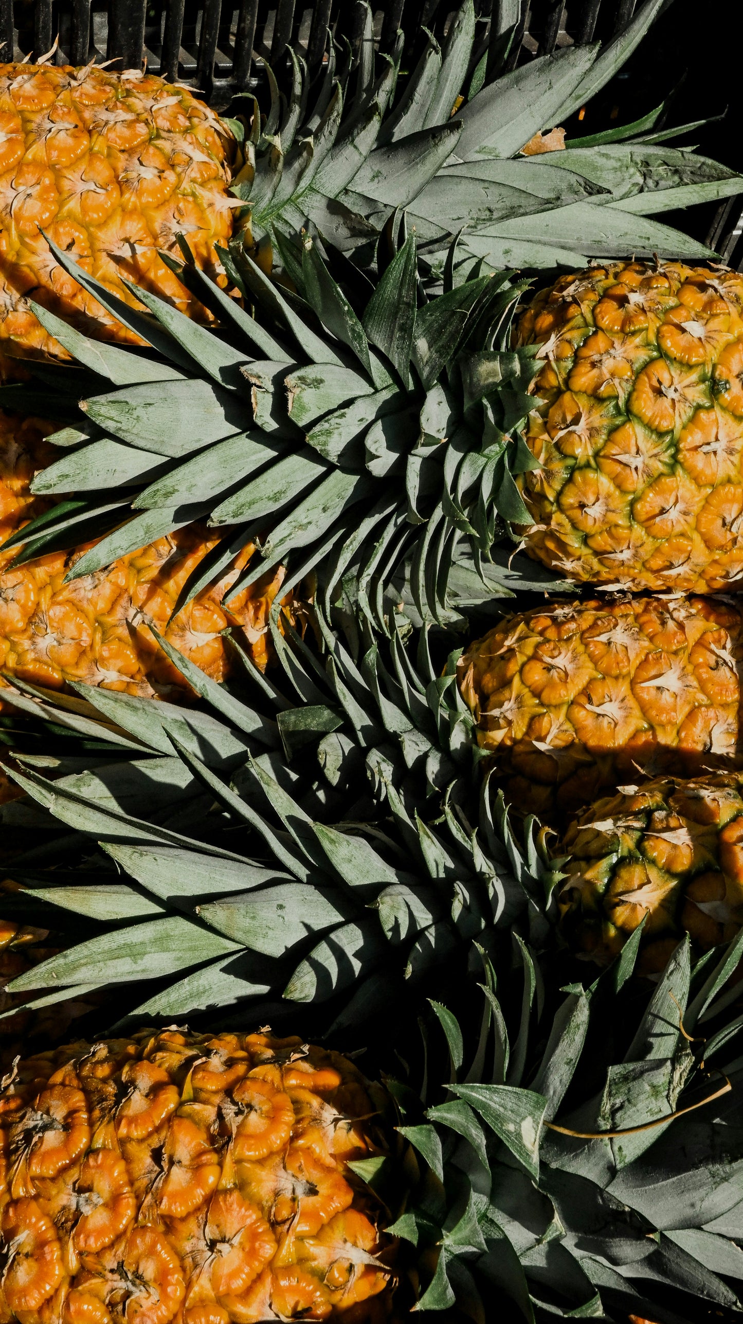 FSS Pineapple Enzyme OS 
