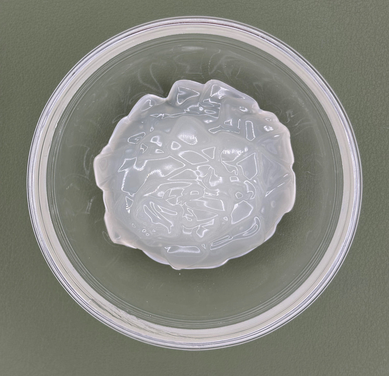 FSS AcquaSeal® Algae