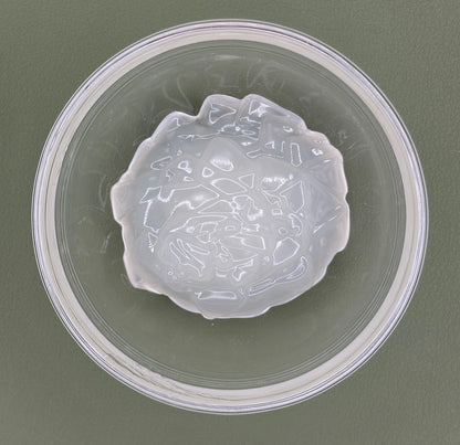 FSS AcquaSeal® Algae