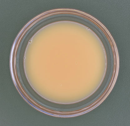 FSS Vitamin ACE Liposome PF