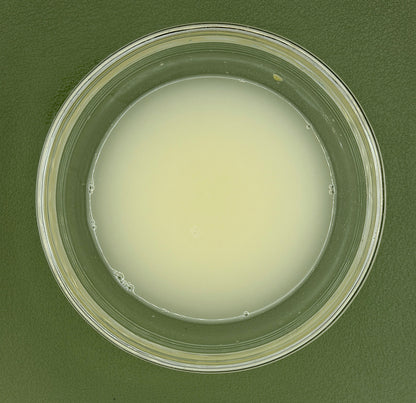 FSS Vitamin K Liposome