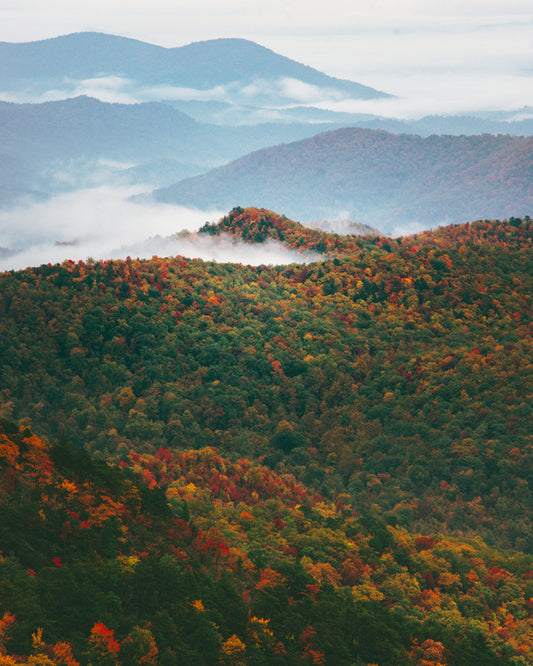 FSS MOUNTAIN AIR FRAGRANCE