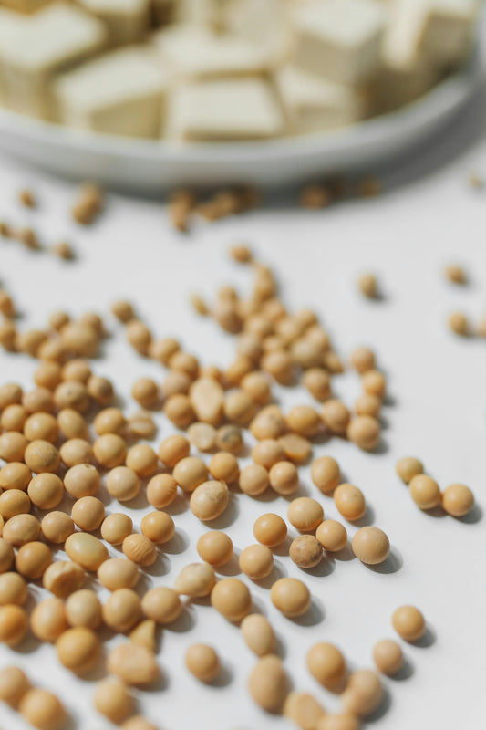 FSS BIOPOLYMER SOY PF DRK