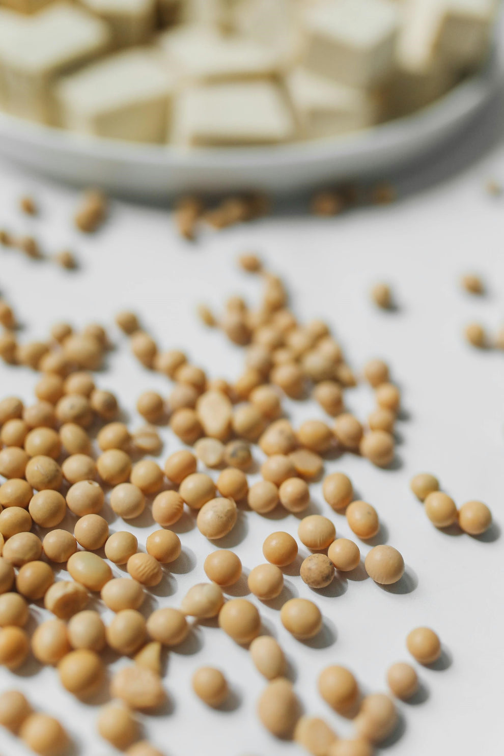 FSS Biopolymer Soy PF – Formulator Sample Shop