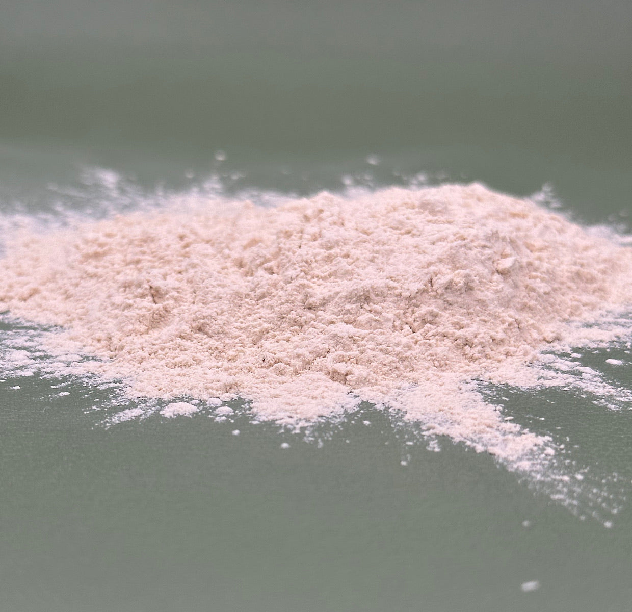 FSS Aloe Vera 200X Powder