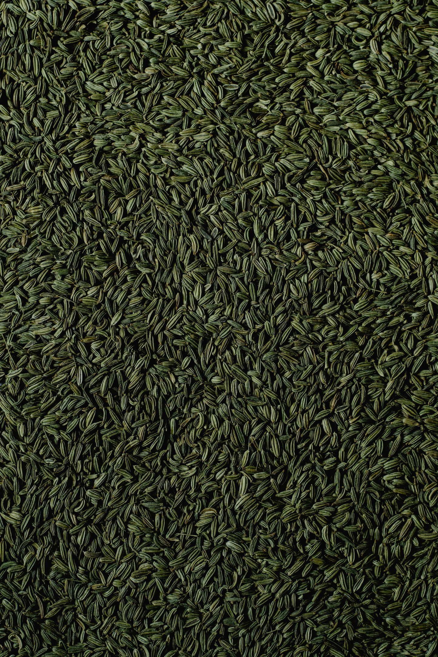 FSS AQ FENNEL EXTRACT AQ PF