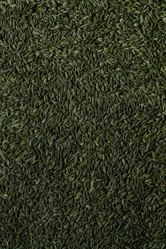 FSS AQ FENNEL EXTRACT AQ PF