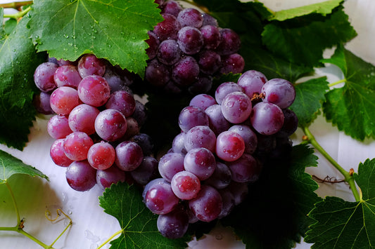 FSS GRAPE FRAGRANCE