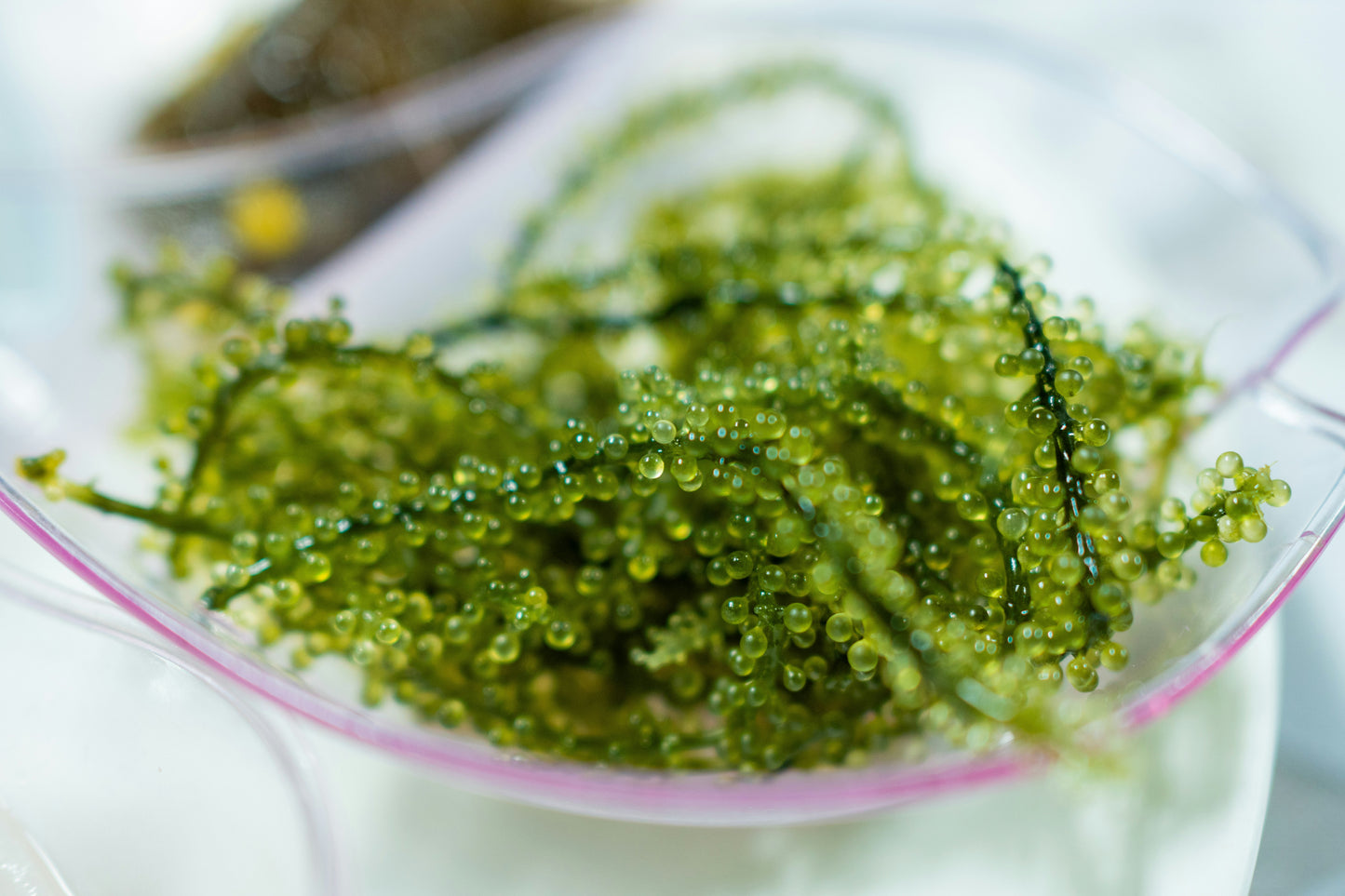 FSS Green Caviar Oil