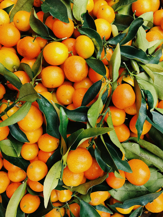 FSS ORANGE FLAVONES PBF