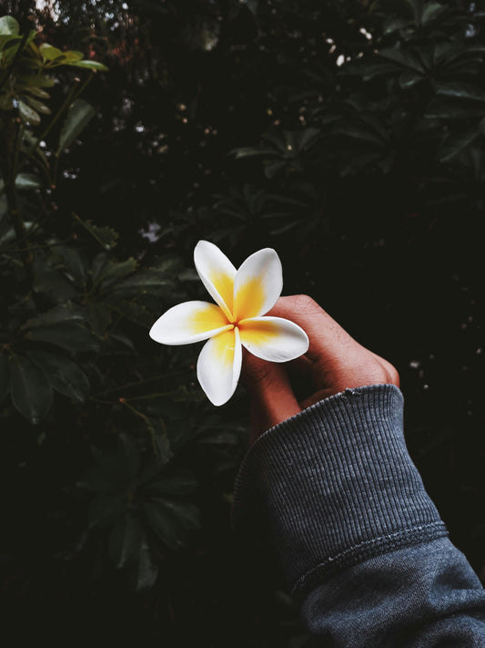 FSS PLUMERIA FRAGRANCE