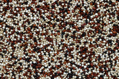 FSS Quinoa Protein