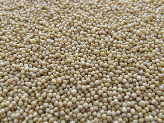 FSS SOY HYDROLYSATE PET DRK