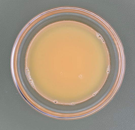 FSS VITAMIN C LIPOSOME PF