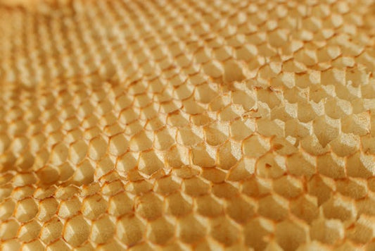 FSS White Beeswax