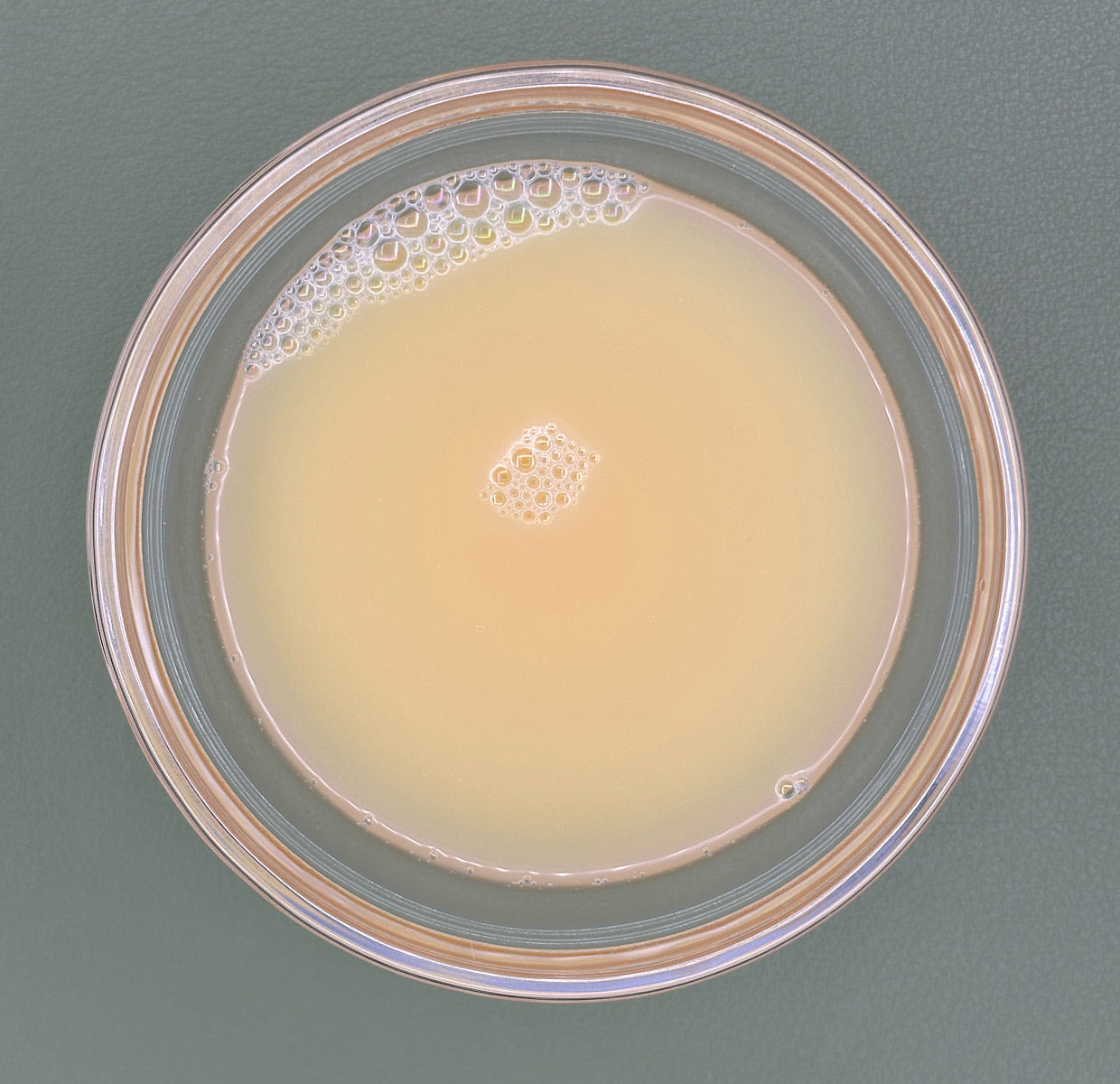 FSS Caffeine Liposome PF