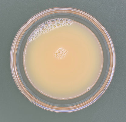 FSS Caffeine Liposome PF