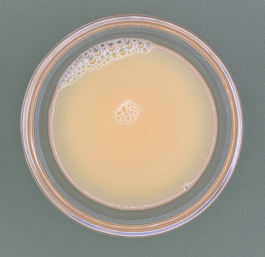 FSS Caffeine Liposome PF