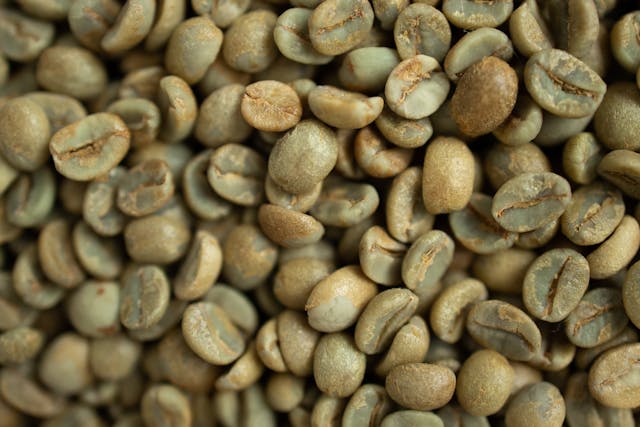 FSS Green Coffee Bean Powder