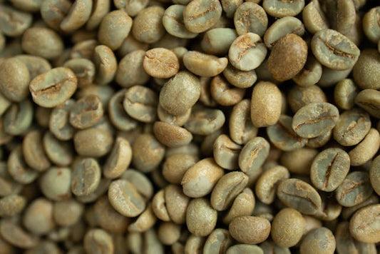 FSS Green Coffee Bean Powder