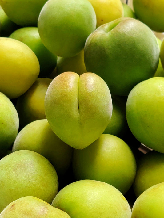 FSS KAKADU PLUM EXTRACT OS