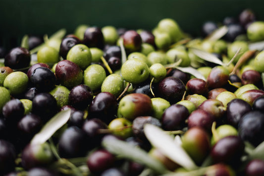 FSS OLIVE SQUALANE