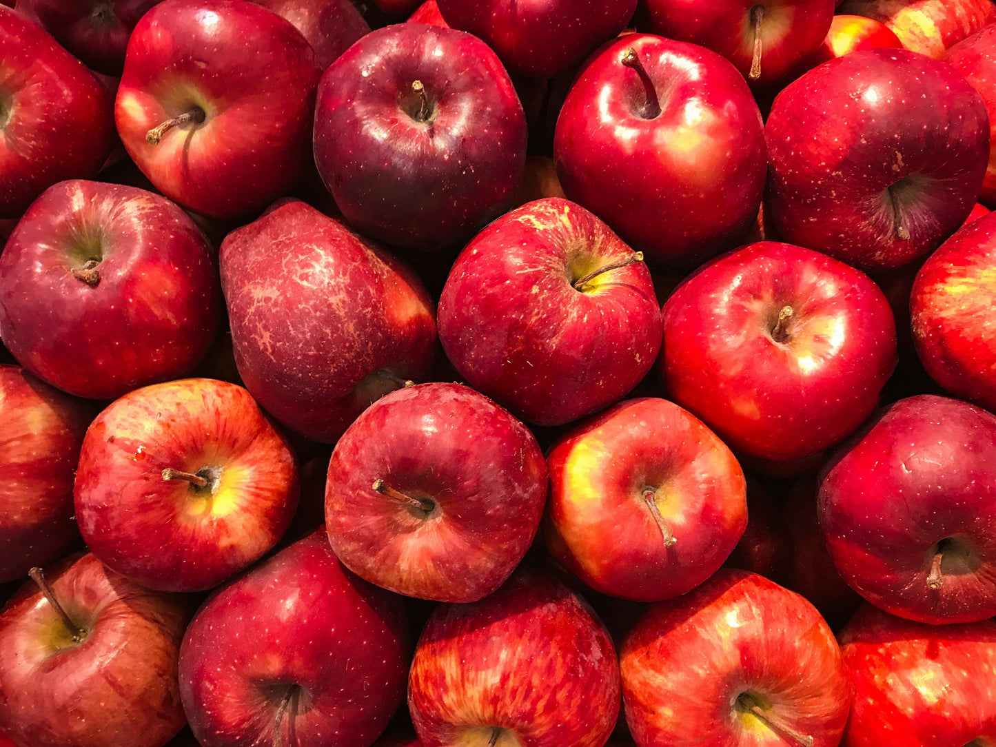 FSS Phyto-Biotics Apple & Argan OS