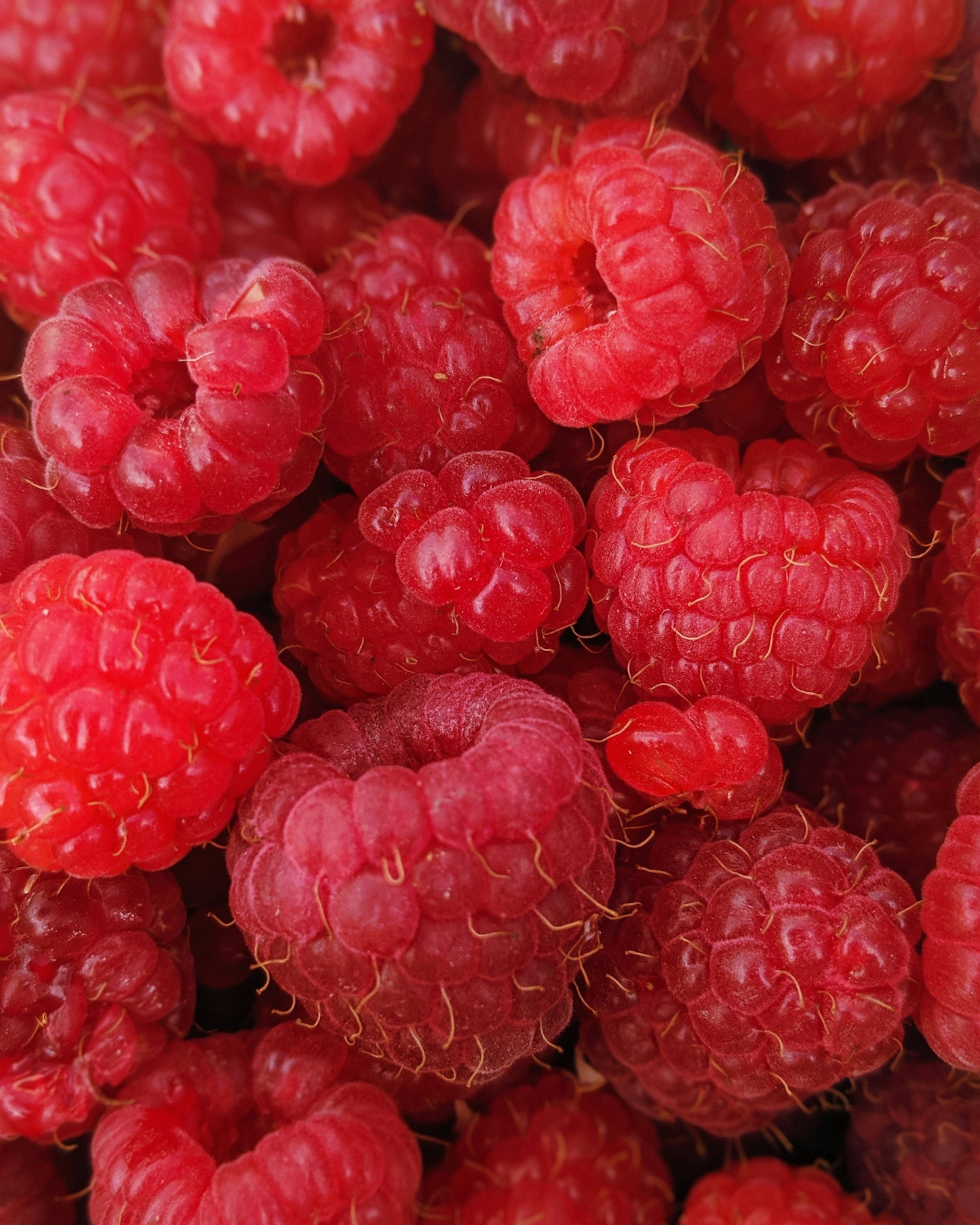 FSS Raspberry Seed Oil